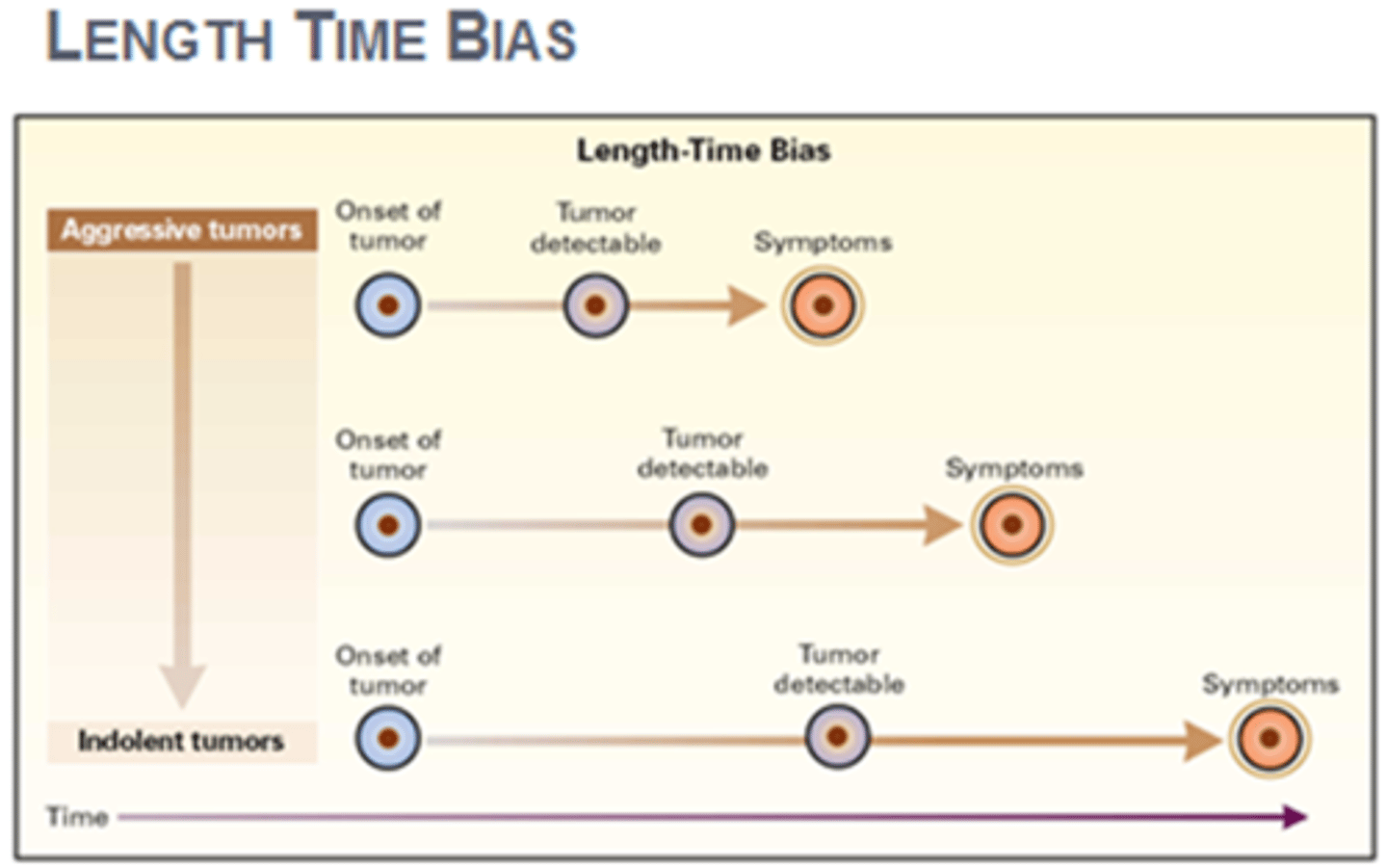 <p>Bias introduced when screening detects asymptomatic (slower/less aggressive) cases that may not usually be picked up, falsely increasing survival rate</p>