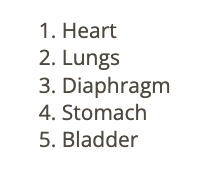 <p>c) heart</p>