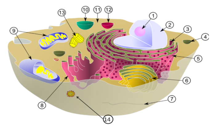 <p>what is number 4</p>