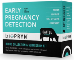 <p>Cows, ewes, does, elk, and bison</p>