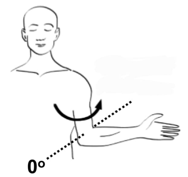 <p>Shoulder external rotation</p>