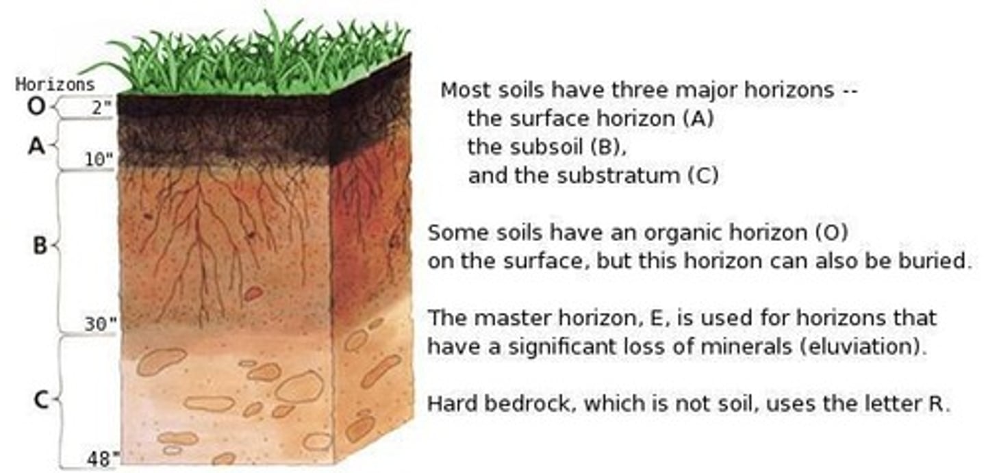 <p>A natural succession of zones or strata below the ground surface, altered by weathering processes.</p>