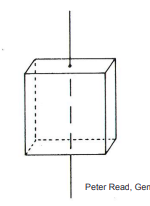 - The vertical axis
- May be shorter or longer than lateral axes