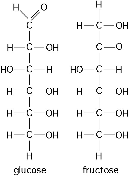 <p>How do the sugars glucose (C<sub>6</sub>H<sub>12</sub>O<sub>6</sub>) and fructose (C<sub>6</sub>H<sub>12</sub>O<sub>6</sub>) compare and contrast?</p>