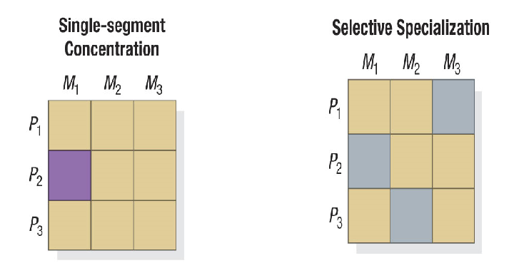 <ul><li><p>Concentrate on one or a few segments or niches</p></li><li><p>e.g. Nintendo → aims for gamers. </p></li><li><p>Selective specialization: One companies with different specialities. </p></li></ul><p></p>
