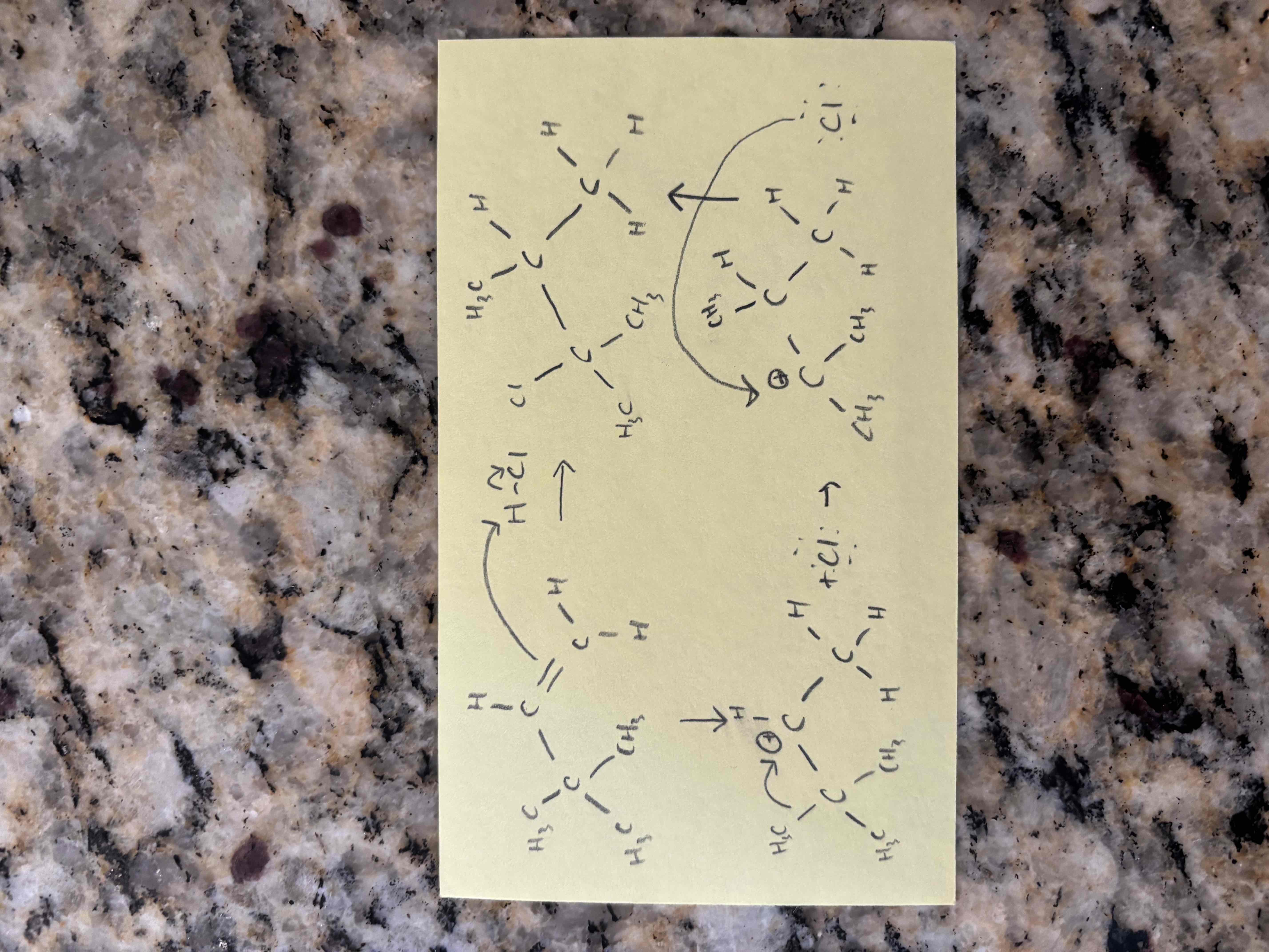 knowt flashcard image