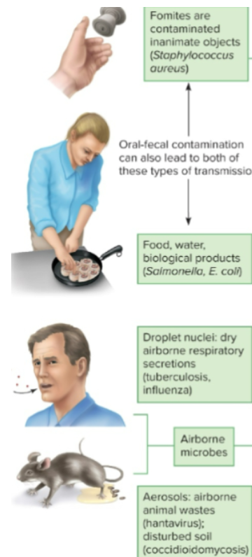 <p>microbes pass from the infected host to the intermediate conveyor (non-living) and then to another host</p>