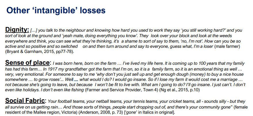 <p>Other Intangible Losses</p>