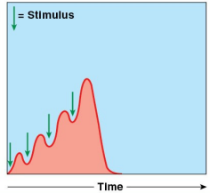 <p>What is shown?</p>