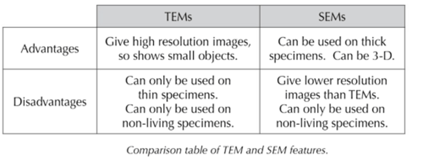 <p>- All the limitations of the TEM also apply to the SEM, except that specimens don't need to be extremely thin as electrons do not penetrate.<br>- Basically similar to a TEM, the SEM directs a beam of electrons onto the surface of the specimen from above, rather than penetrating it from below.<br>- The beam is then passed back and forth across a portion of the specimen in a regular pattern.<br>- The electrons are scattered by the specimen and the pattern of this scattering depends on the contours of the specimen surface.<br>- A 3D image can be built up by computer analysis of the pattern of scattered electrons and secondary electrons produced.<br>- The bassic SEM has a lower resolving power than a TEM, around 20 nm, but is still ten times better than a light microscope.</p>