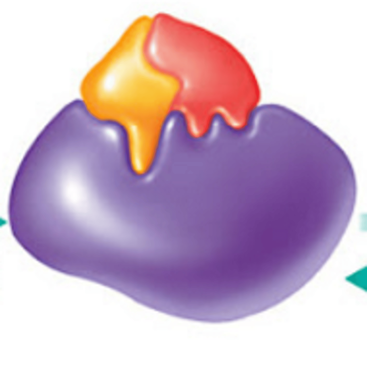 <p>A temporary complex formed when an enzyme binds to its substrate molecule(s)</p>
