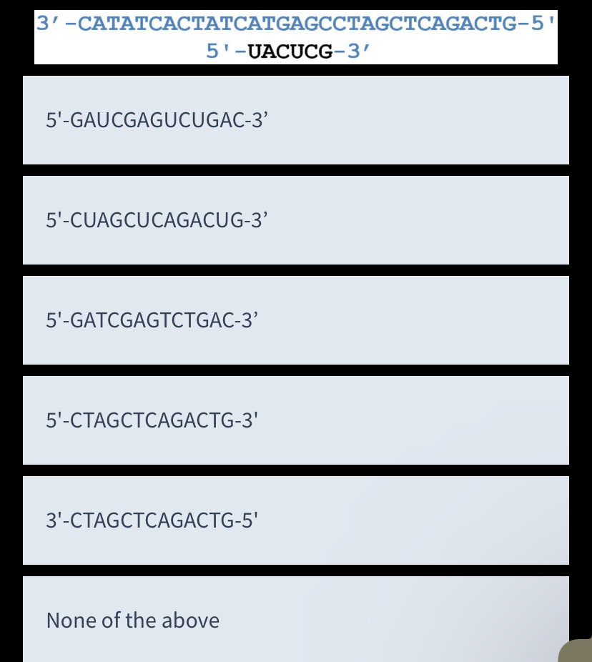 <p>Assume the following DNA sequence with a 6 base RNA primer. What new DNA sequence would DNA polymerase add to the bottom strand? </p>