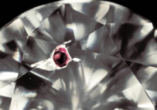 <p>What inclusion is this?</p>