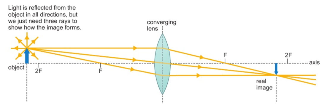 <ol><li><p>a ray <strong>parallel </strong>to the optical axis <strong>passes through the focal point</strong> on the other side of the lens</p></li><li><p>a ray that <strong>passes through the focal point</strong> emerges <strong>paralle</strong>l to the optical axis on the other side (opposite of #1)</p></li><li><p>a ray that passes through the <strong>centre </strong>of the lens continues with <strong>no change in direction</strong></p></li></ol><p>the image is at the point at which these three lines meet, on the other side of the lens to the object</p><p>the image will be real as long as the object is in front of the focal point</p><p></p>