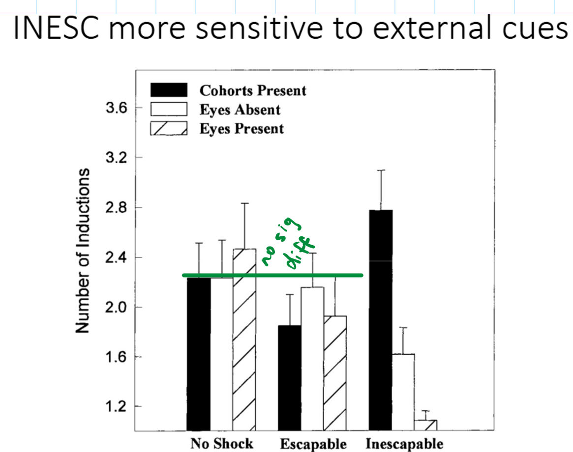 <p><strong>C</strong>onditions:</p><ul><li><p>INESC: Inescapable shock condition</p></li><li><p>ESC: Escapable shock condition</p></li><li><p>Control: No shock</p></li></ul><p><strong>Procedure:</strong></p><ul><li><p>24 hours after exposure, chickens were physically restrained to induce TI.</p></li><li><p>Tested under three setups:</p><ol><li><p>Other mobile chickens present</p></li><li><p>Predator eyes visible</p></li><li><p>Predator eyes covered (with tape)</p></li></ol></li></ul><p><strong>Measures:</strong></p><ul><li><p>Number of attempts needed to induce TI</p></li><li><p>Duration of TI</p></li></ul><p><strong>Findings:</strong></p><ul><li><p><strong>INESC group</strong> (inescapable shock - chicken that are now more hypervigilant to external stim) was <strong>more sensitive to external cues</strong> (e.g., predator eyes).</p><ul><li><p>threatening eyes present (see threatening eyes)- only need 1 inversion to induce TI</p><ul><li><p>they are using eyes to evaluate dangerous external cues</p></li></ul></li><li><p>eyes absent (cant see threatening eyes) - medium # inversions needed to induce IT</p></li><li><p>cohort w/ eyes - being around other animals, they see that other animals are ok (external cue of safe environment) → so they believe they are ok too → took most attempts to induce TI</p></li></ul></li><li><p>Suggests prior <strong>inescapable fear experience increases sensitivity</strong> and TI duration 0 longer TI.</p></li></ul><p></p>