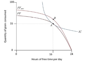 <p><span>The following diagram shows a farmer's choice between free time and grain before (A) and after (B) an improvement in technology. Based on this information, which of the following statements are correct?</span></p><ul><li><p>The MRT of the new feasible frontier at B is larger than the MRT of the old feasible frontier at A. This gives the farmer an incentive to take more free time after the technology improvement.</p></li><li><p>If the MRS of the indifference curve at B is larger than the MRS of the indifference curve at A, then this gives the farmer an incentive to take more free time after the technology improvement.</p></li><li><p>The farmer will definitely choose a point to the right of B after the technology improvement.</p></li><li><p>The farmer may choose a point on either side of B after the technology improvement.</p></li></ul><p></p>