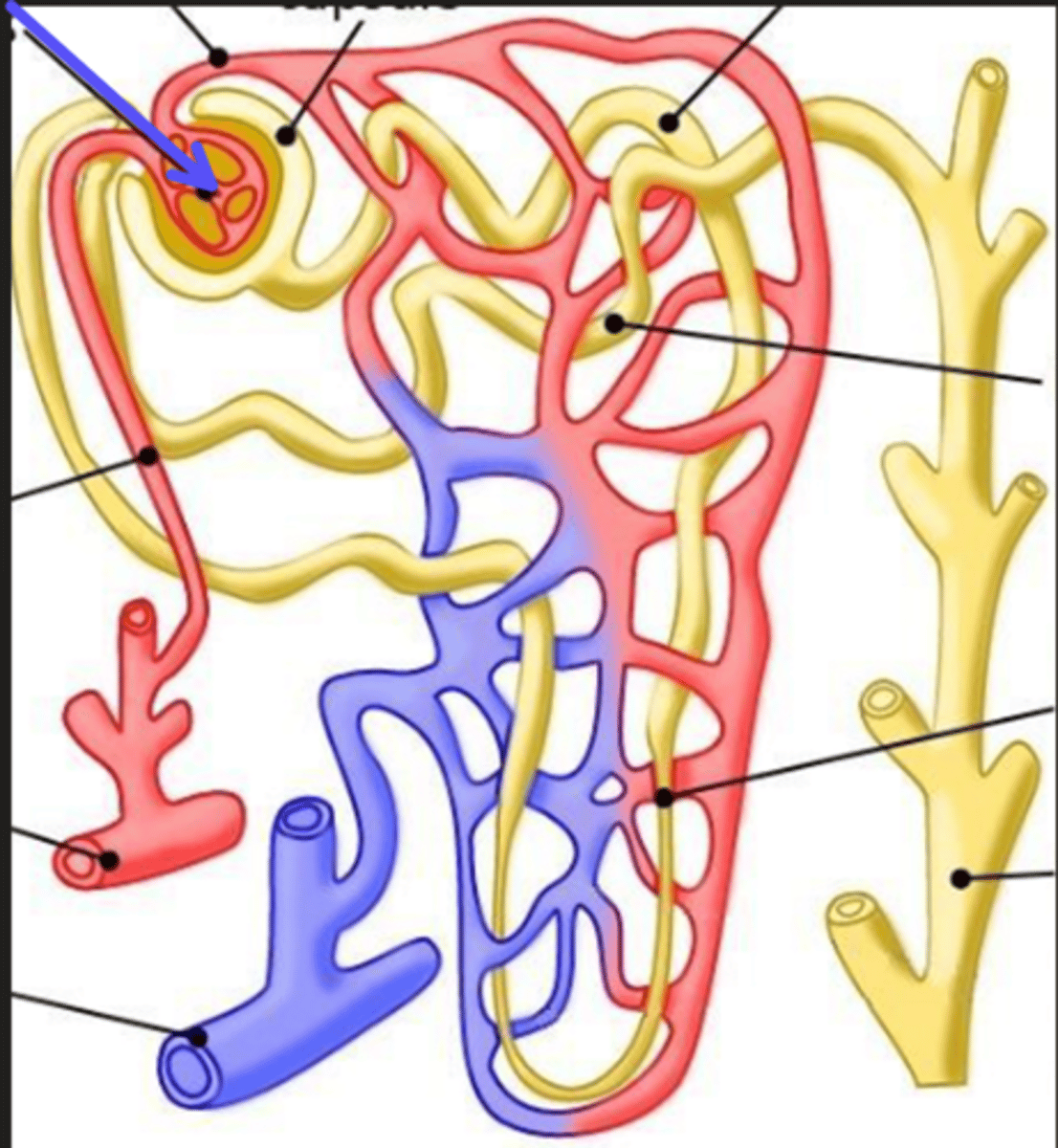 <p>What is the arrow pointing at?</p>