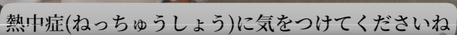 <p><span>熱中症(ねっちゅうしょう)</span></p>