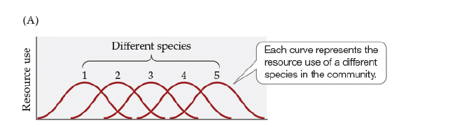 <p>J. Hill and R. Hill.<em>- </em>What does Figure 19.8A illustrate about species resource use?</p>
