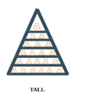 <p>"It has narrow spans of control and a larger number of levels of heirarchy<br>"</p>