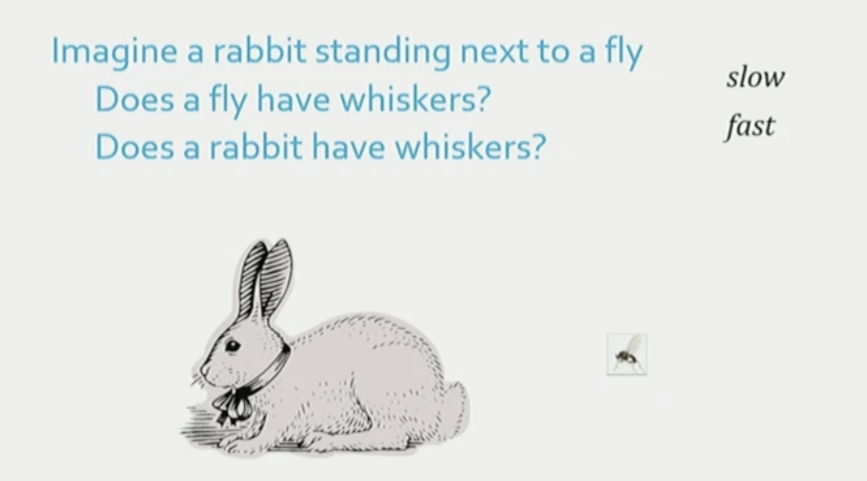 <p>People argued that perhaps the fly is particularly boring compared to a rabbit. Or maybe people know a lot elephants, less about rabbits and nothing about flies. </p><p></p><p>Therefore, perhaps their response times mirror their knowledge rather than anything about imagery. </p>