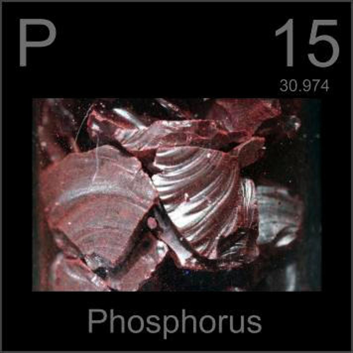 <p>Phosphorus</p>