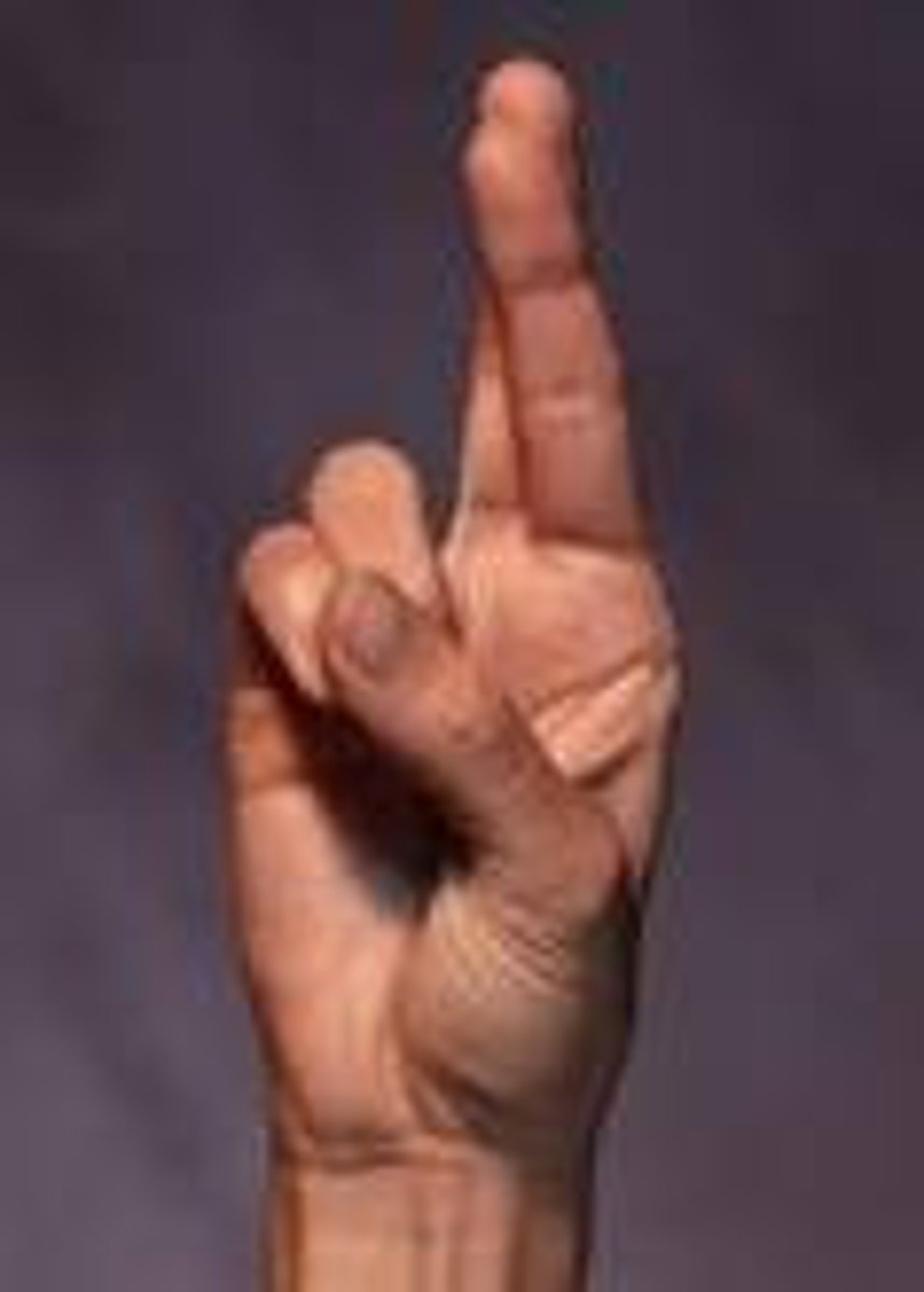<p>Ring and little finger are folded against the palm, held down by thumb, index and middle finger are straight and crossed, index finger in front.</p>