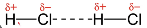<ul><li><p>the <span>δ+ of one dipole attracts the δ- of the other dipole</span></p></li><li><p><span>the dipoles act as bar magnets</span></p></li><li><p><span>Van der Waals force</span></p></li></ul><p></p>