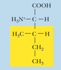 <ul><li><p>Nonpolar</p></li><li><p>Ile, I</p></li><li><p>α-COOH pKa: 2.4</p></li><li><p>α-NH3+ pKa: 9.7</p></li></ul><p></p>