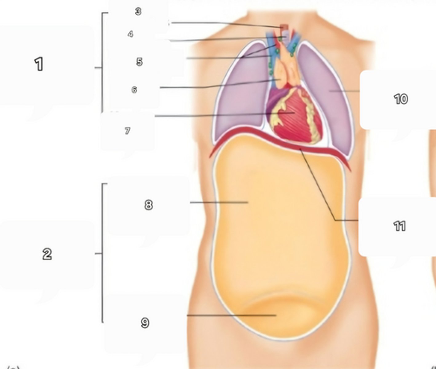 <p>3</p>
