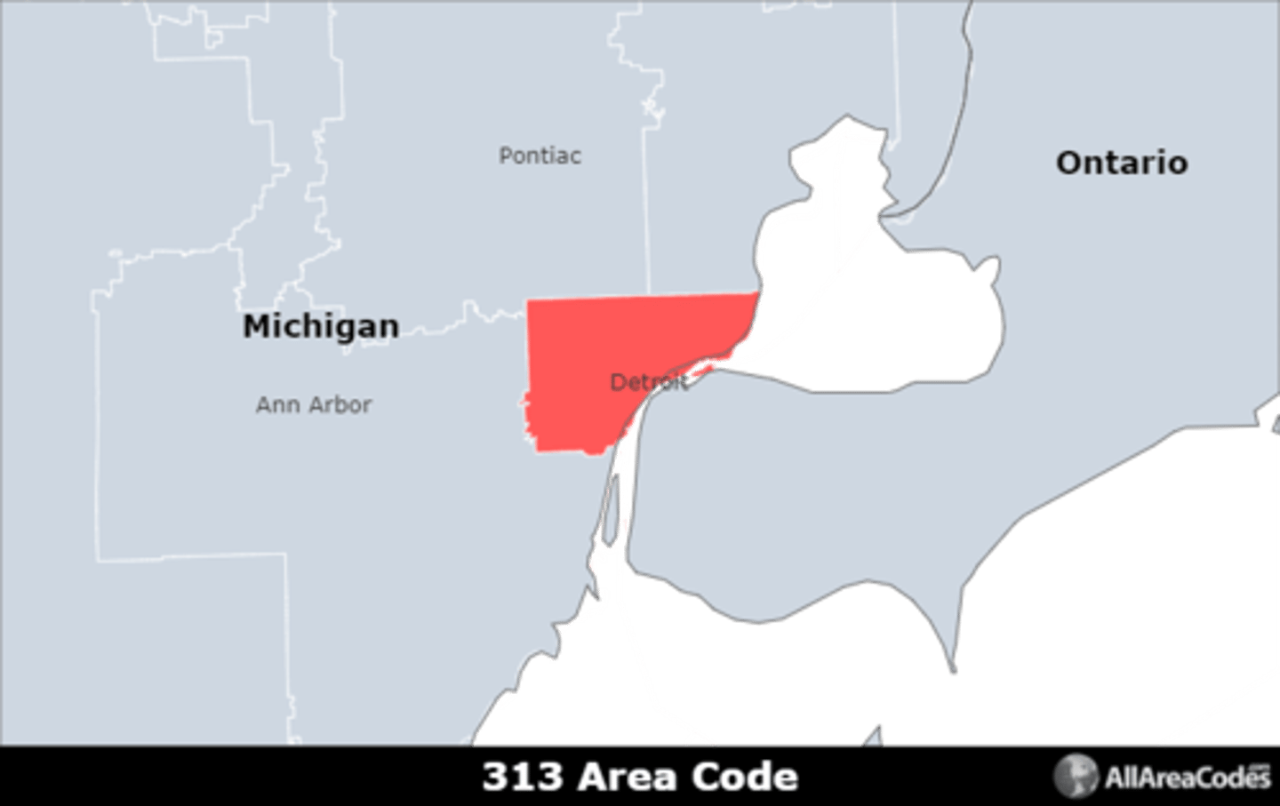 <p>Area code 313 serves Detroit, MI and the surrounding areas. It is the only area code that serves the area</p>