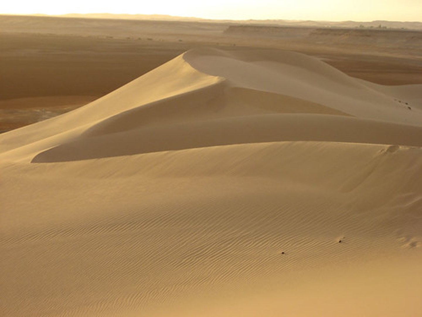 <p>This is a ___ dune.</p>