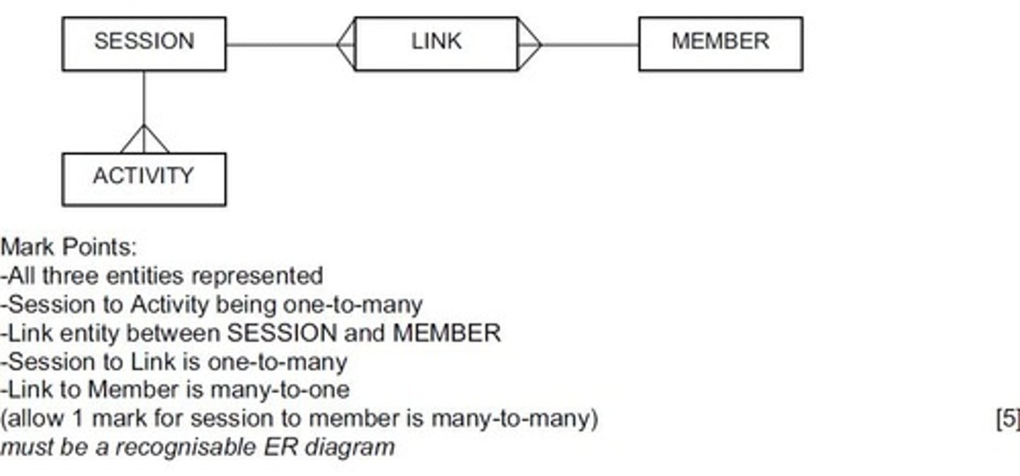 <p>Activities offered during specific sessions.</p>