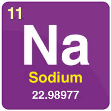 <p>Sodium</p>