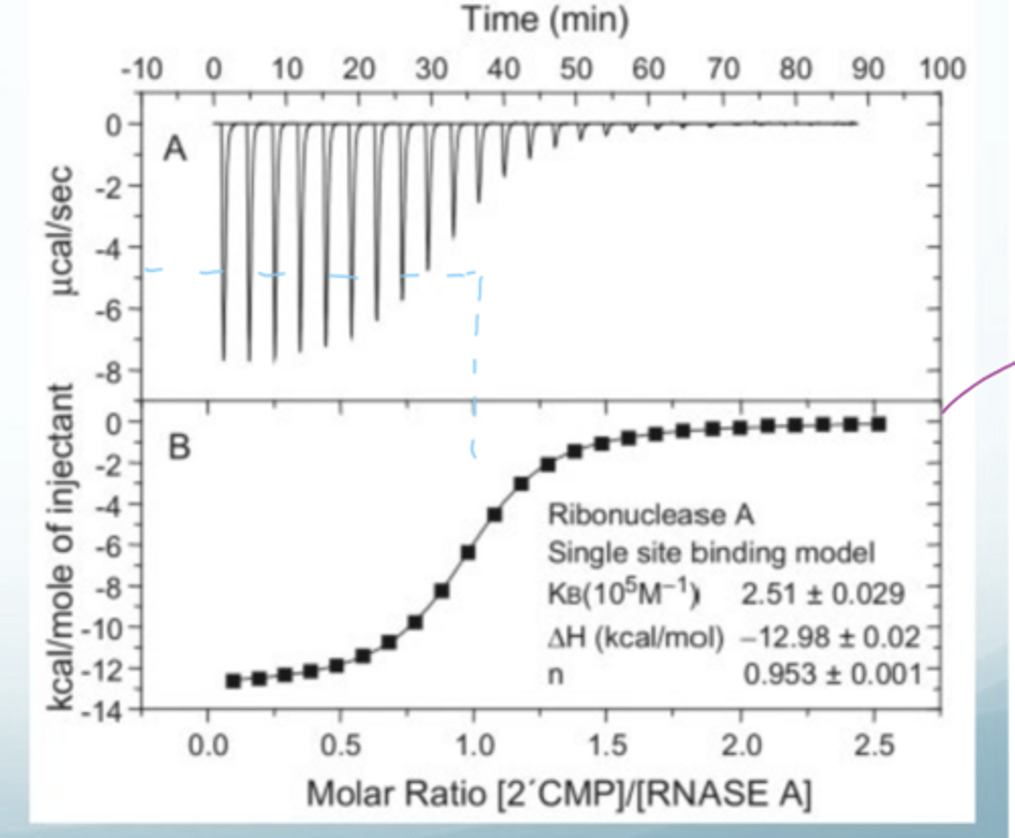 <p>at -5 kcal, the molar ratio is 1, so the stoichiometry is 1:1 (bottom graph)</p><p>quantitative data matches qualitative data well</p>
