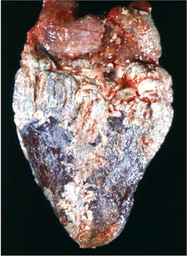 <p>What is this showing?</p>