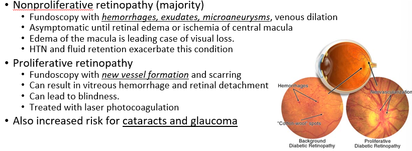 <p>nonproliferative retinopathy </p>