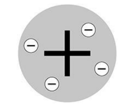 <p>The diagram shows a model of the atom.</p><p>What is the name of this model of the atom?</p>