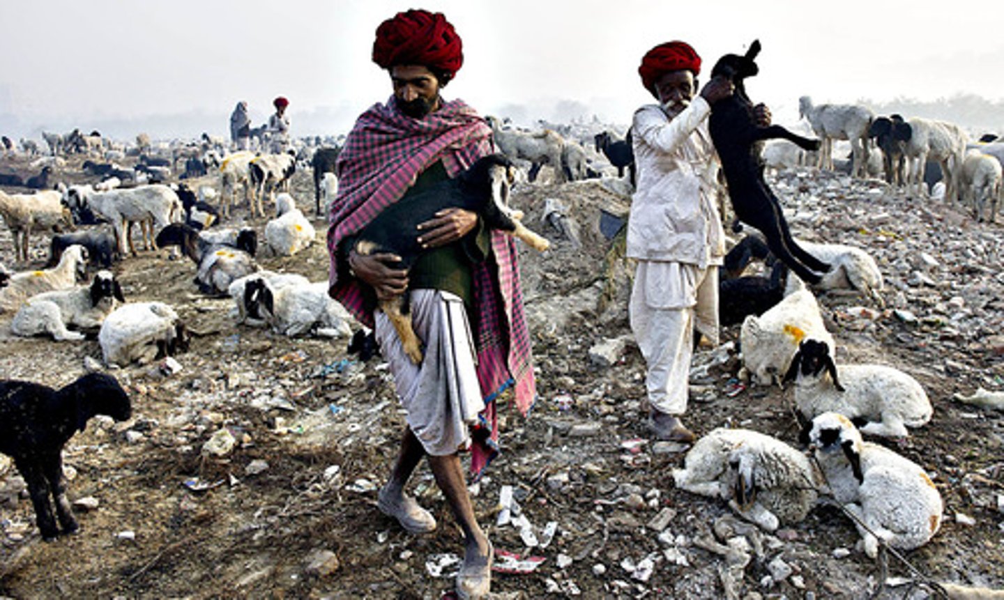 <p>A form of subsistence agriculture based on herding domesticated animals.</p>