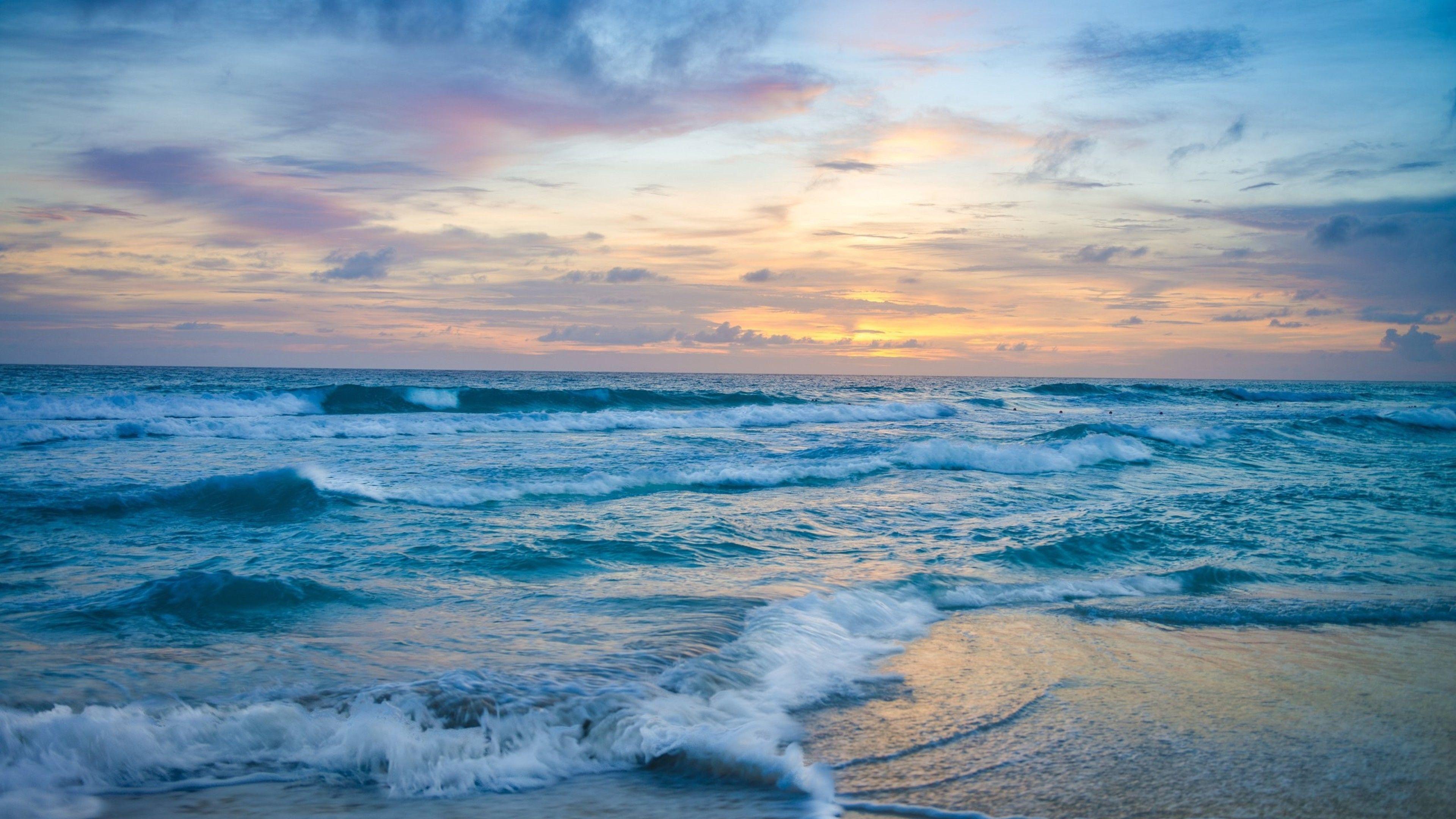 <p>Ocean</p>