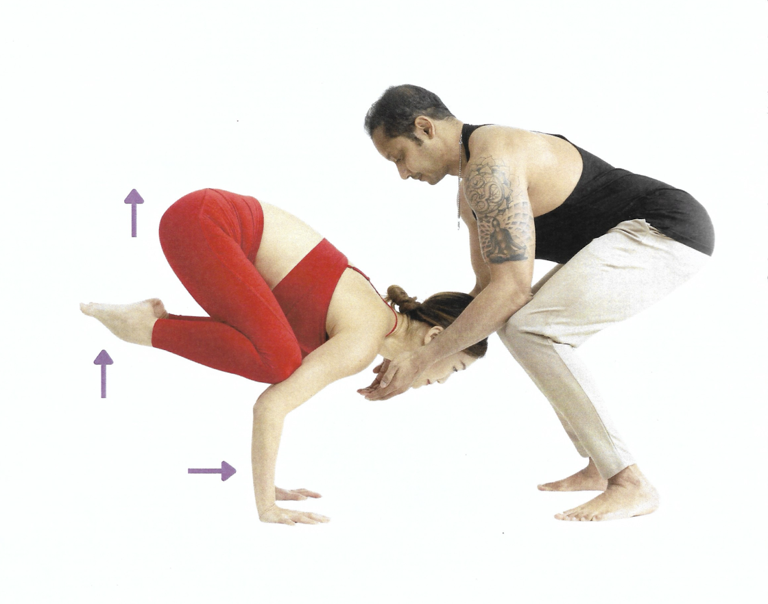 Kakasana