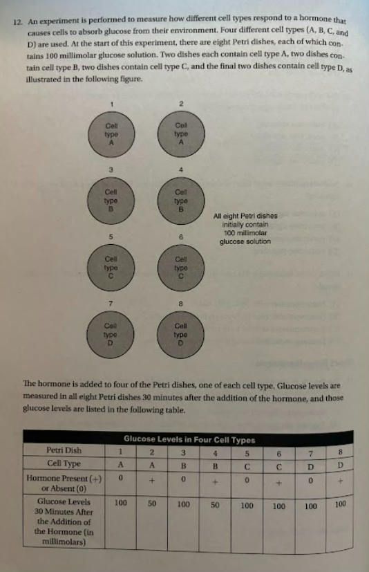 <p>(a) <strong>Describe</strong> the most likely reason why cell types C and D did not respond to the presence of the hormone. </p><p>(b) <strong>Identify</strong> the function of Petri dishes 1, 3, 5, and 7 in the experimental procedure.</p><p>(c) A molecule is added to Petri dish 4 before the hormone is added. This molecule irreversibly binds to this hormone, preventing the hormone from binding to any receptor. The hormone is then added to Petri dish 4. <strong>Predict</strong> the effect this molecule will have on the glucose concentration in Petri dish 4 at 30 minutes after the addition of the hormone.</p><p>(d) <strong>Justify</strong> you predictions from part (c).</p>