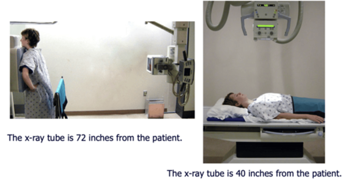 <p>•Routine CXRs include PA and lateral views with the patient in the upright position.</p><p>Other types of CXRs</p><p>⚬AP and supine (portable) films make the heart appear enlarged and the lungs hypoinflated.</p><p>⚬A lateral decubitus film can aid in identifying a pleural effusion.</p><p>⚬Lordotic films are used to view the apices of the lungs</p><p>⚬Expiratory view may be helpful for pneumothorax</p>
