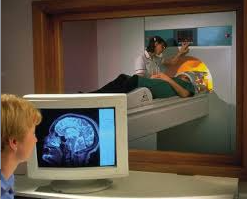 <p><span style="background-color: transparent;"><span>Work-related musculoskeletal disorder (WRMD)</span></span></p>