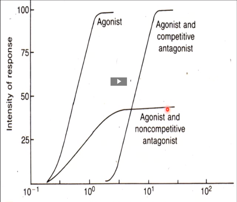 <ul><li><p><span>Bind to the receptors permanently and irreversibly → longlasting effects</span></p></li><li><p><span>Decrease the number of available receptors, forcing cells to increase the receptor turnover rate</span></p></li></ul><p></p>