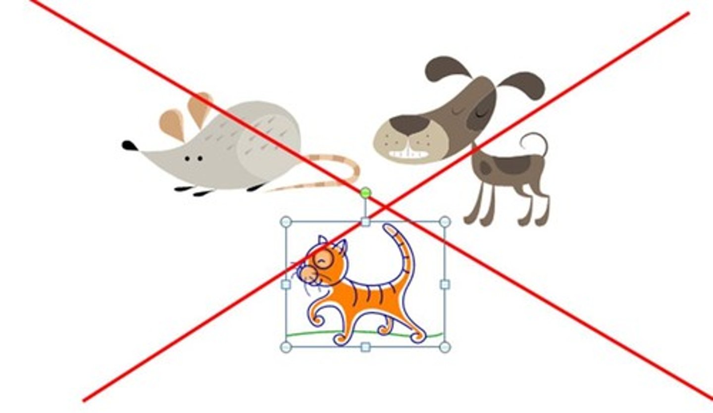 <p>I don't have an animal</p>