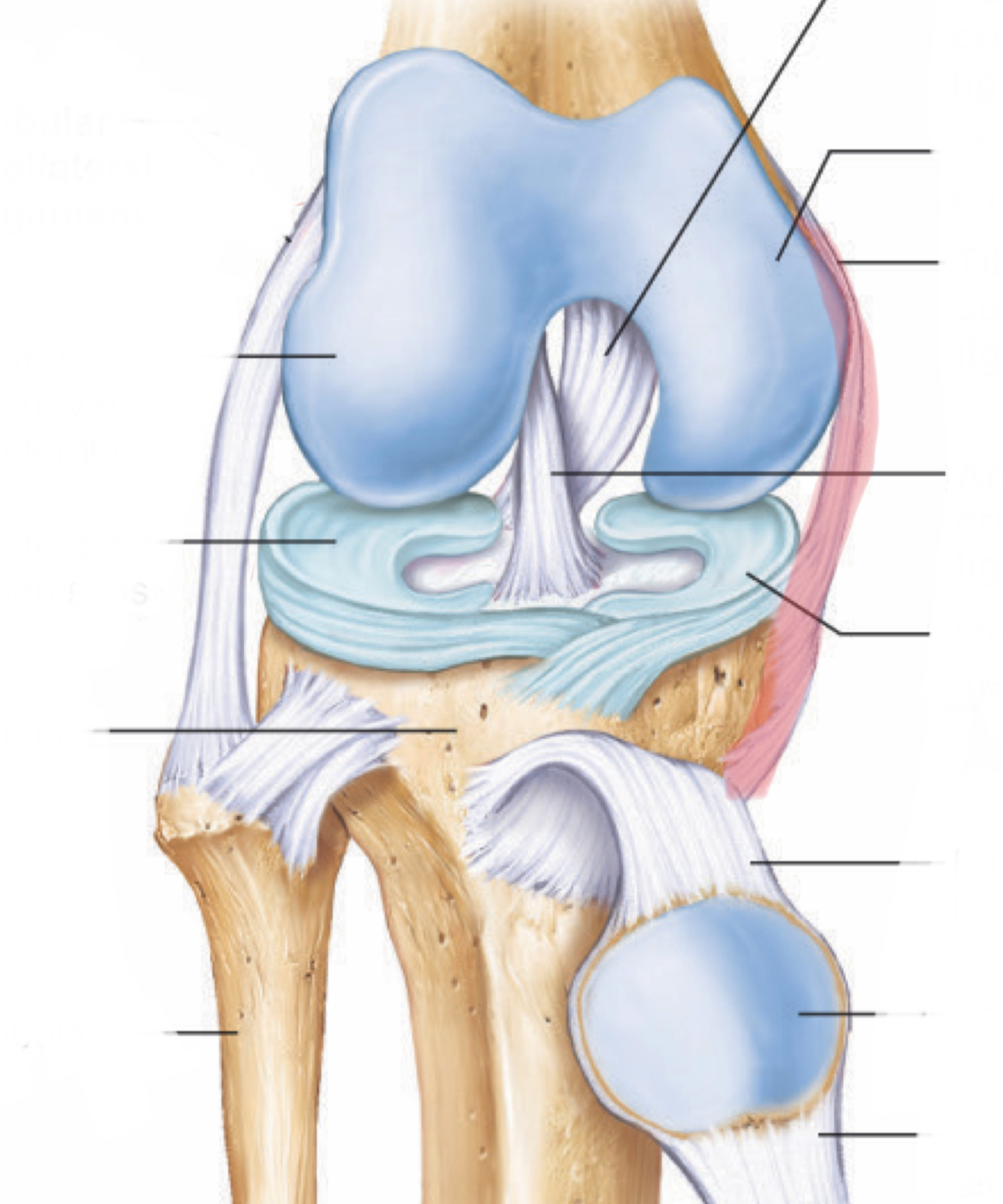 <p>*movement + prevention</p>
