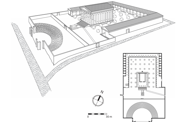 term image
