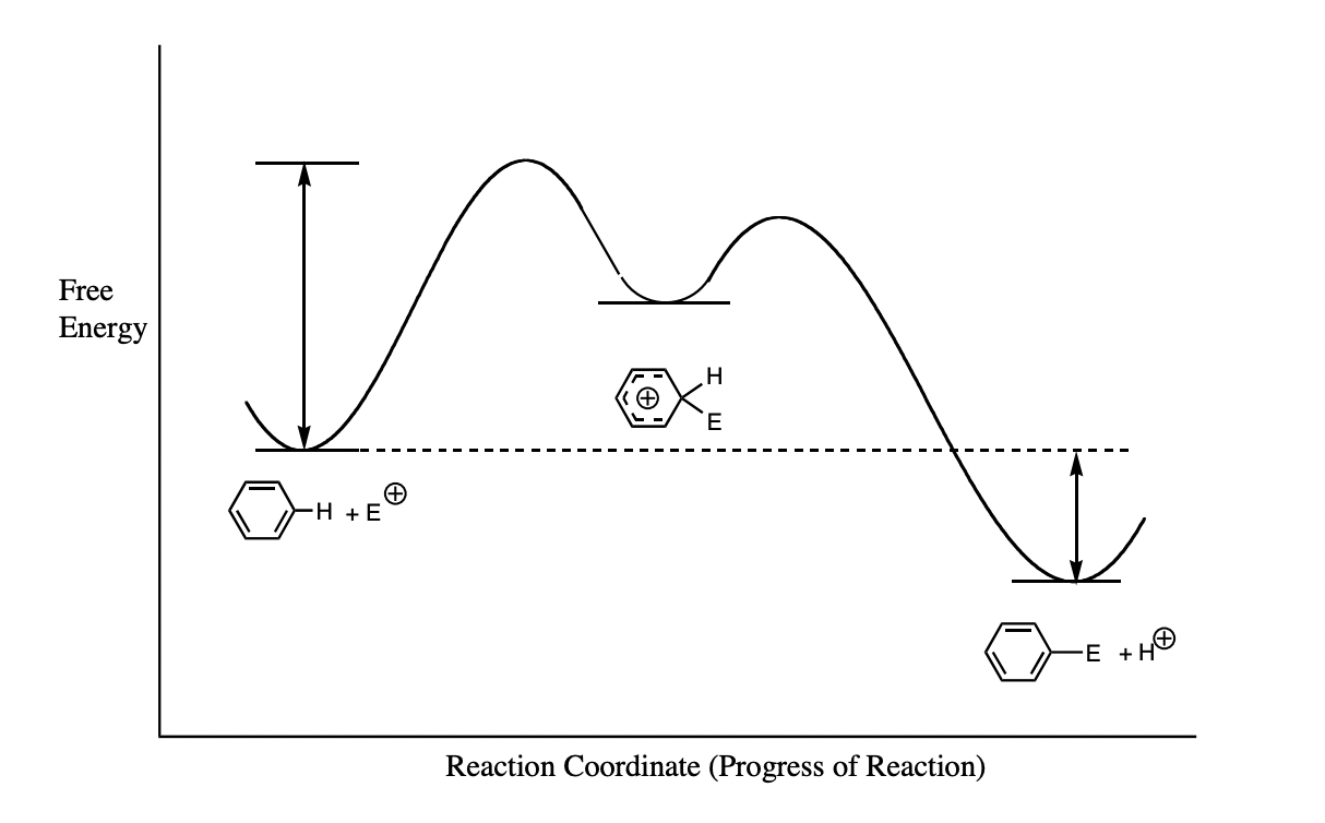 <p>label this reaction coordinate diagram </p>