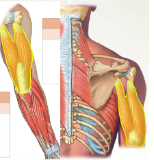 <p>What is this?</p>